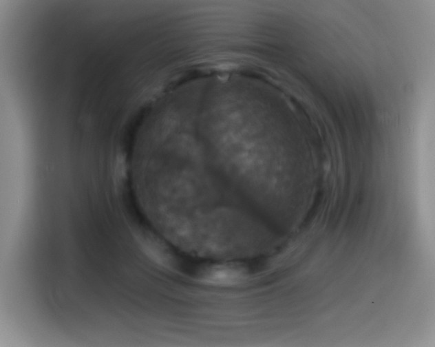 X0000114580555200910191525