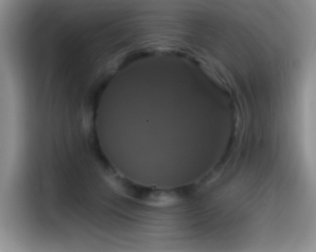 X0000114580559200910191525