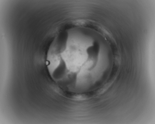 X0000114580561200910191525