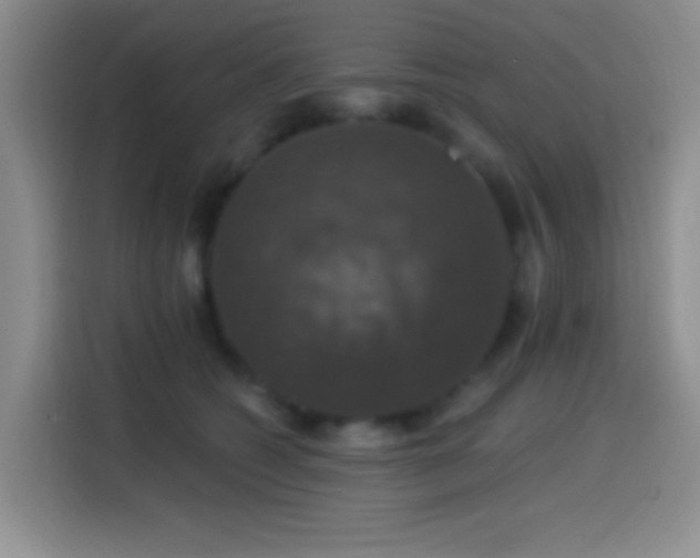 X0000114580562200910191525