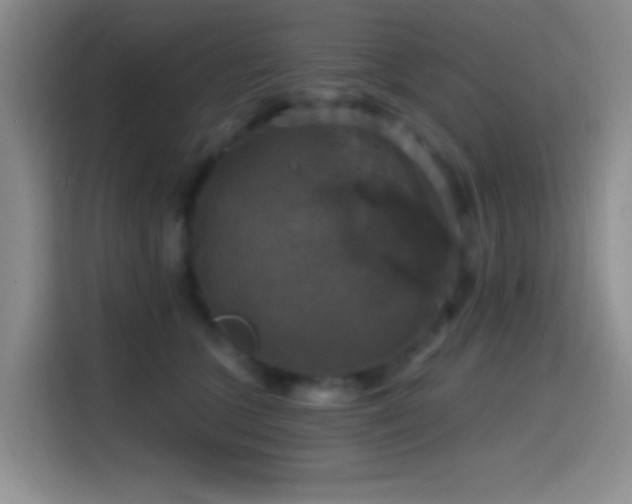 X0000114580563200910191525