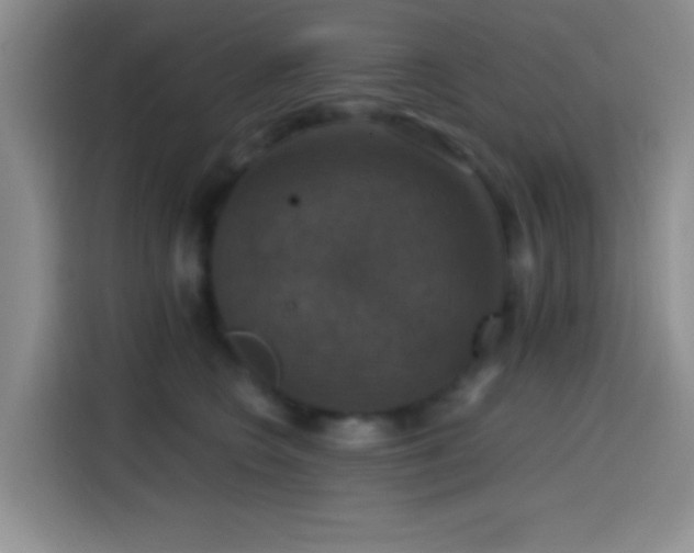 X0000114580566200910191525