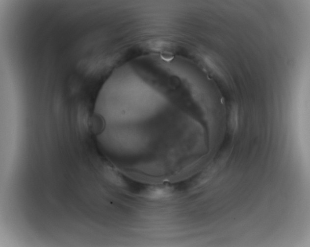 X0000114580569200910191525