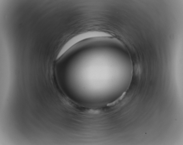 X0000114580570200910191525