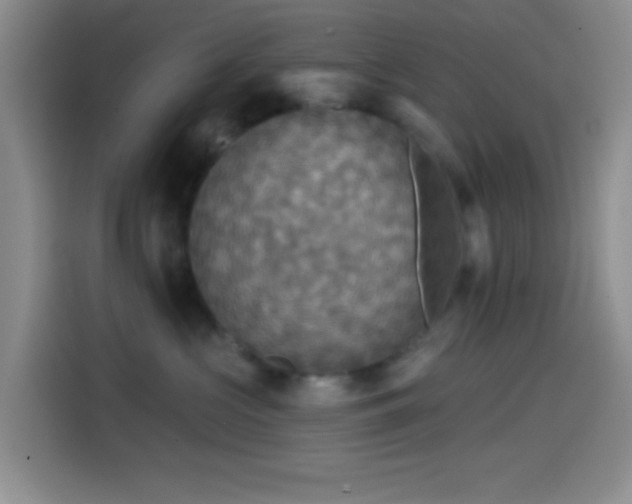 X0000114580573200910191525