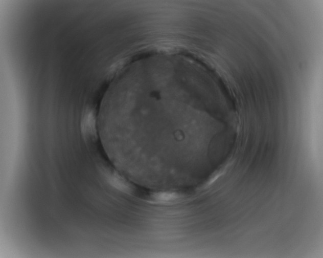 X0000114580575200910191525