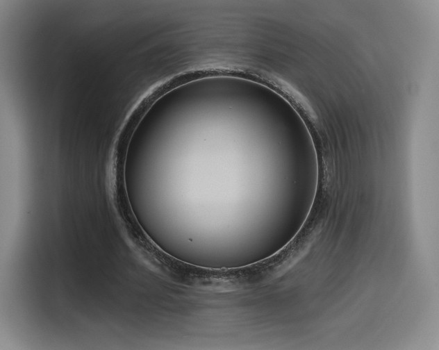 X0000114580580200910191525