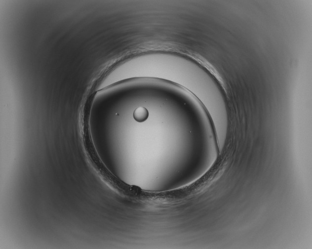 X0000114580581200910191525