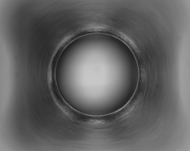 X0000114580582200910191525