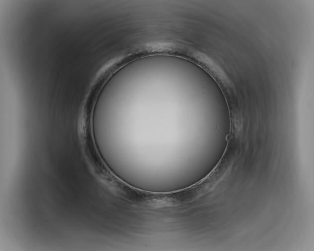 X0000114580583200910191525