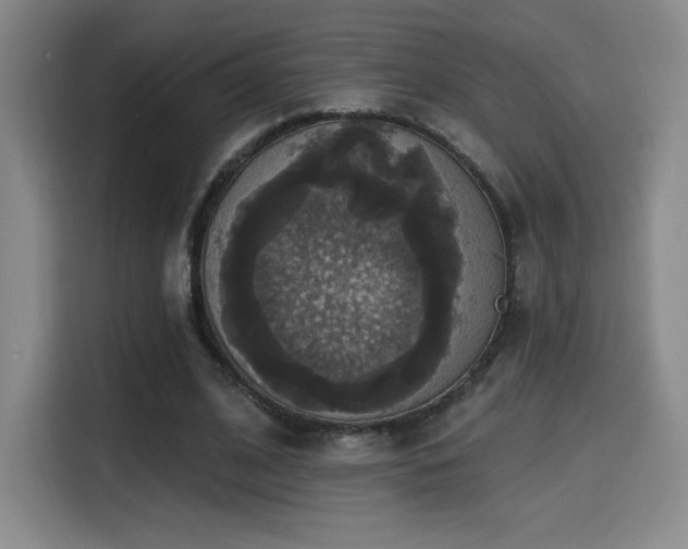 X0000114580584200910191525