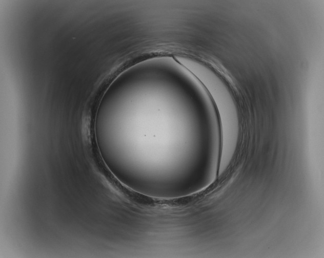 X0000114580585200910191525