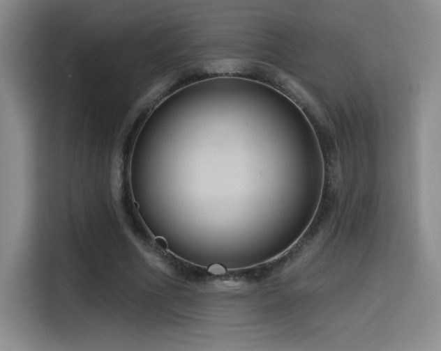 X0000114580586200910191525