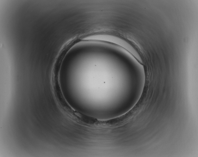 X0000114580587200910191525