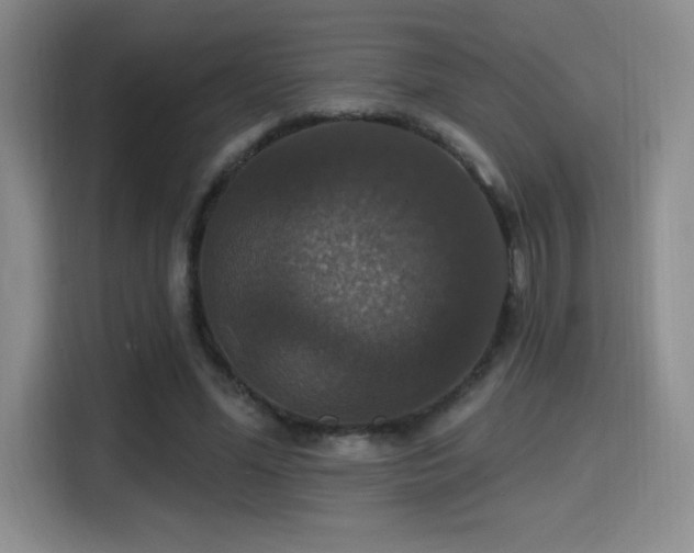 X0000114580588200910191525