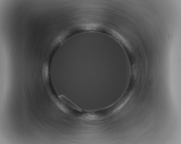 X0000114580589200910191525