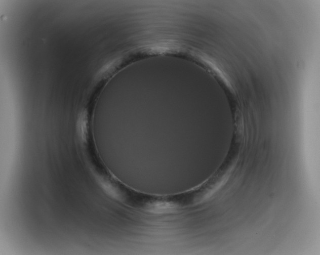 X0000114580590200910191525