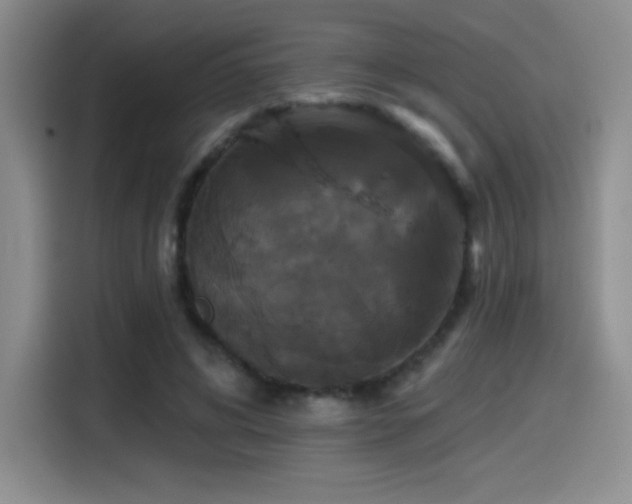 X0000114580592200910191525