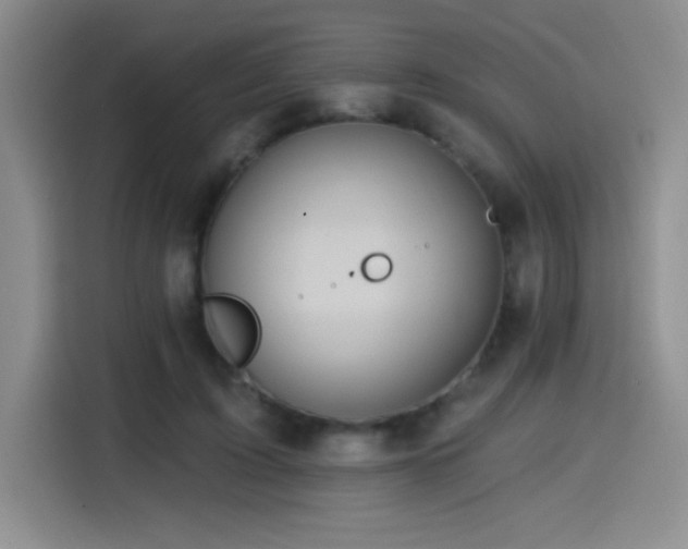 X0000114580595200910191525