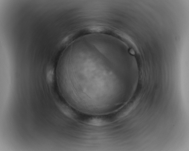 X0000114580596200910191525