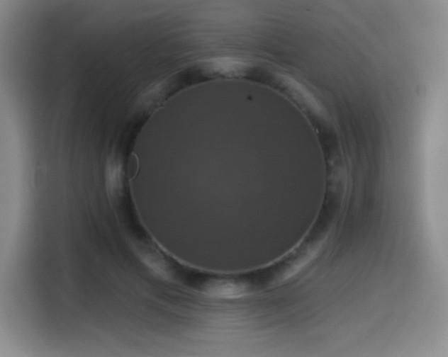 X0000114580597200910191525