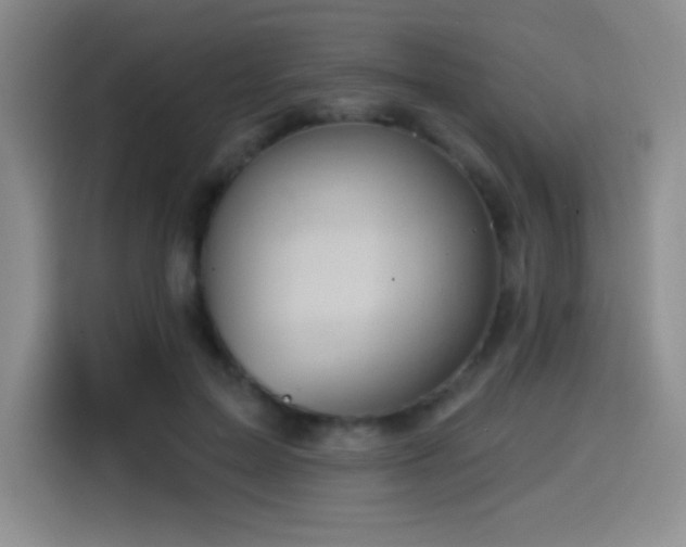 X0000114580599200910191525