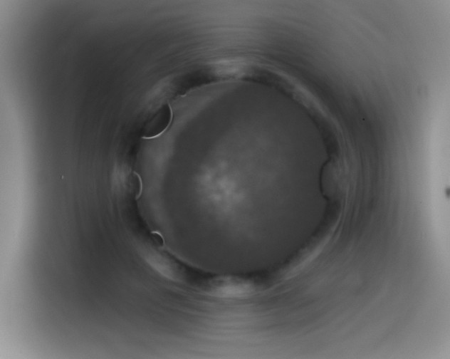 X0000114580601200910191525