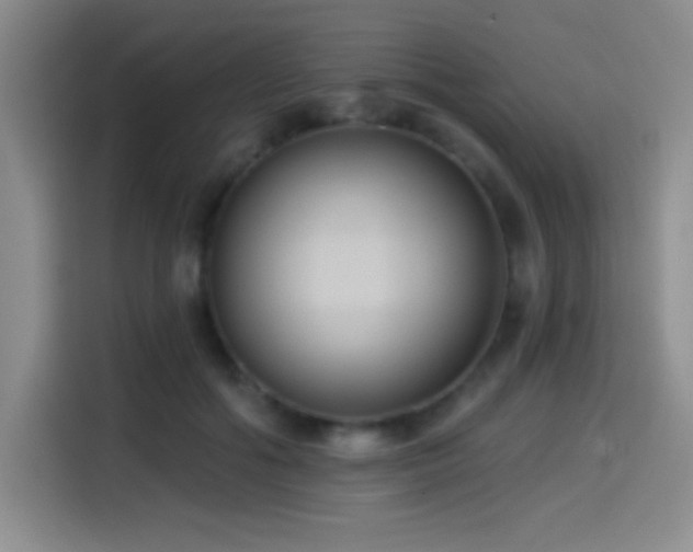 X0000114580602200910191525