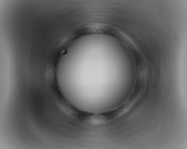 X0000114580603200910191525