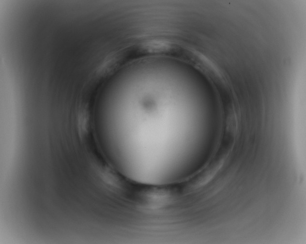 X0000114580604200910191525