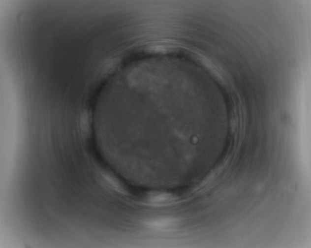 X0000114580605200910191525