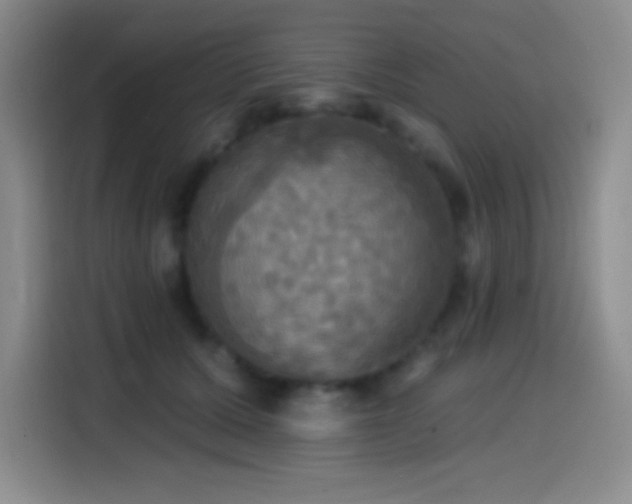 X0000114580607200910191524