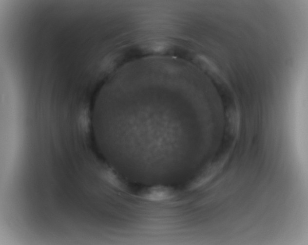 X0000114580612200910191524