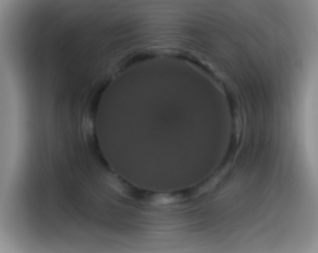 X0000114580613200910191524