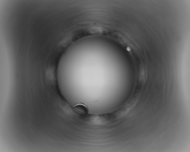 X0000114580616200910191524