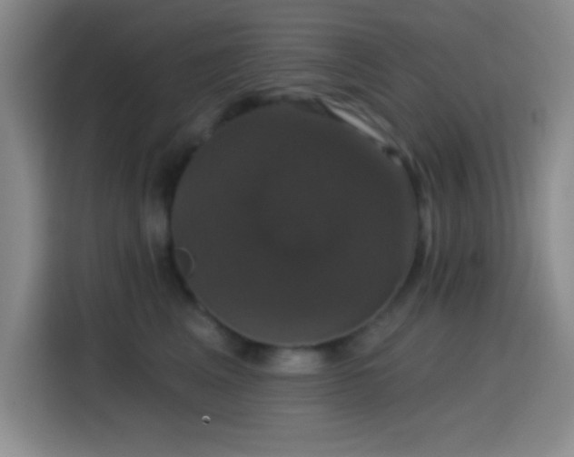 X0000114580617200910191524