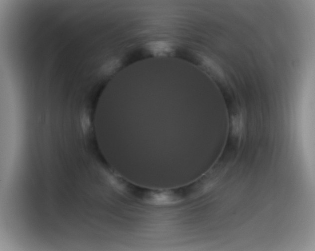 X0000114580618200910191524