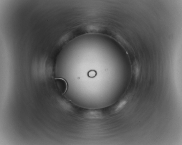 X0000114580619200910191524