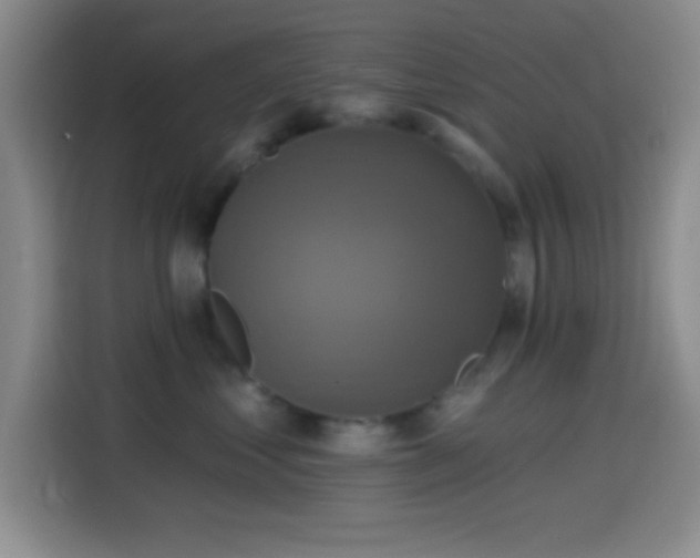 X0000114580621200910191524