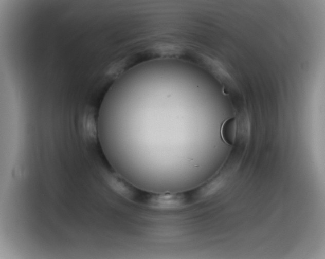 X0000114580622200910191524