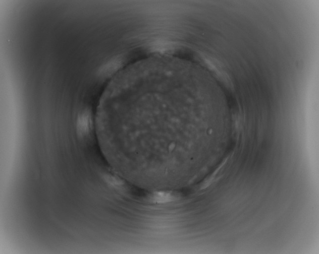 X0000114580623200910191524