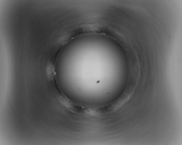 X0000114580624200910191524