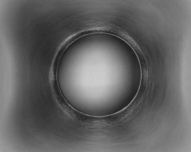 X0000114580628200910191524