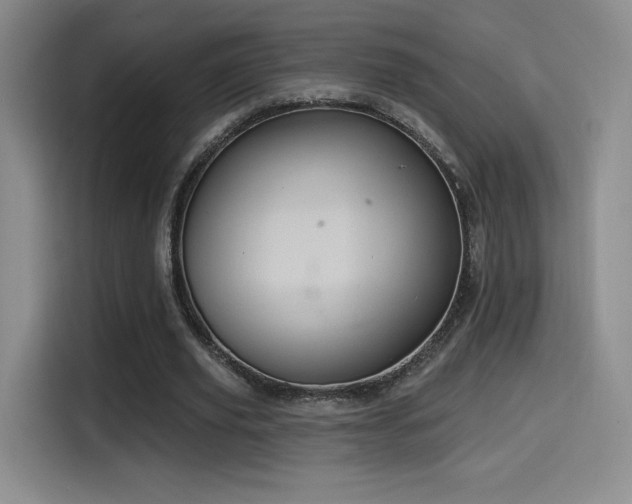 X0000114580629200910191524