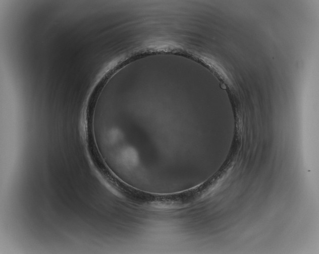 X0000114580630200910191524