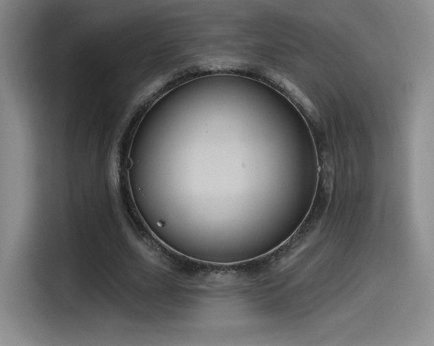 X0000114580631200910191524