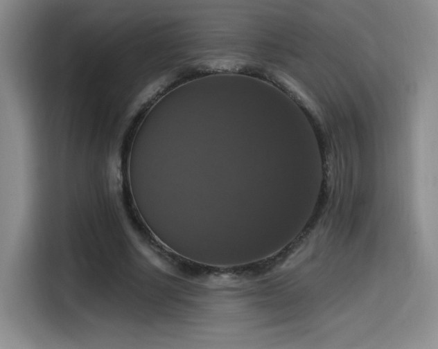 X0000114580634200910191524