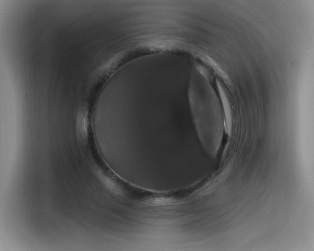 X0000114580637200910191524