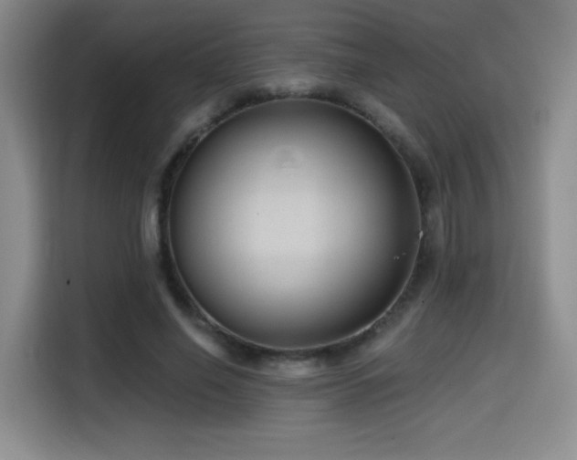 X0000114580638200910191524