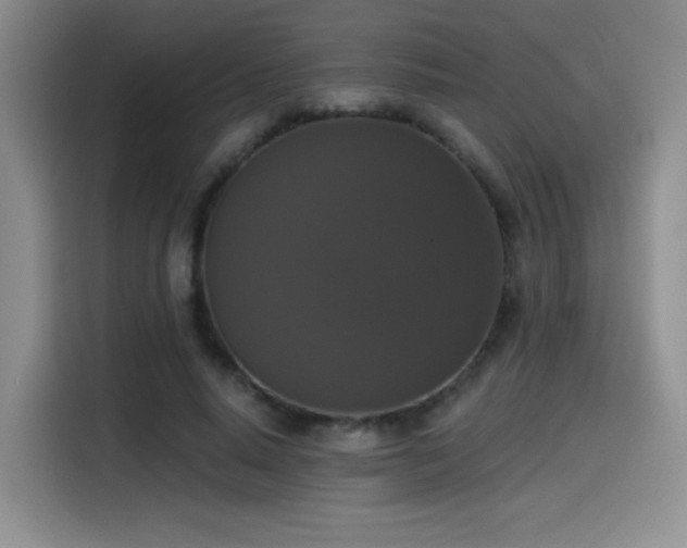 X0000114580640200910191524